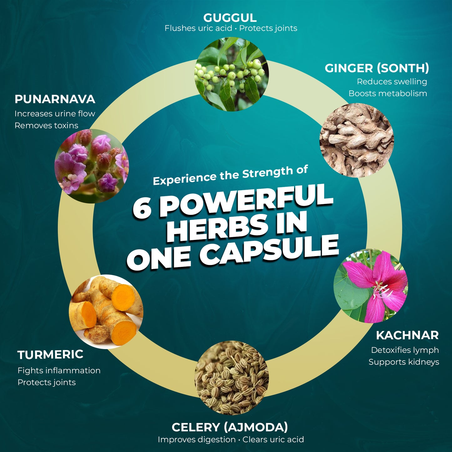 Urilyte Capsule for Uric Acid - 60 Capsules