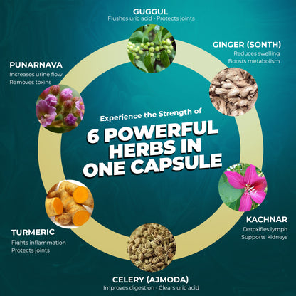 Urilyte Capsule for Uric Acid - 60 Capsules