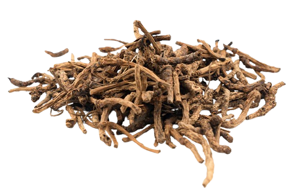 Kutki root