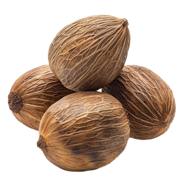 Nutmeg Oil